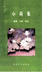 小荷集  全国中师学生诗歌选
