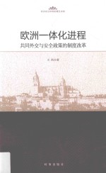 欧洲一体化进程  共同外交与安全政策的制度改革