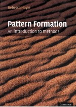 Pattern Formation <em>An</em> <em>Introduction</em> <em>Methods</em>