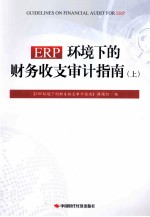 ERP环境下的财务收支<em>审计</em>指南  上