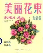 美丽花束  意大利花艺师创意插花指南