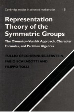 REPRESENTATION <em>THEORY</em> OF THE SYMMETRIC GROUPS THE OKOUNKOV-VERSHIK APPROACH