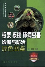 板栗  核桃  柿病虫害诊断与防治原色图鉴