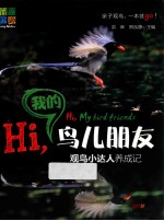 Hi，我的鸟儿朋友  观鸟小达人养成记