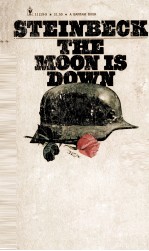 THE MOON <em>IS</em> DOWN