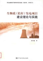 生物质（秸秆）发电项目建设理论与实践