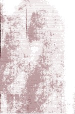 Stability and Oscillati<em>on</em>s of <em>Elastic</em> Systems Paradoxes