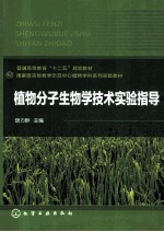 普通高等教育“十二五”规划教材  植物分子生物学技术实验指导